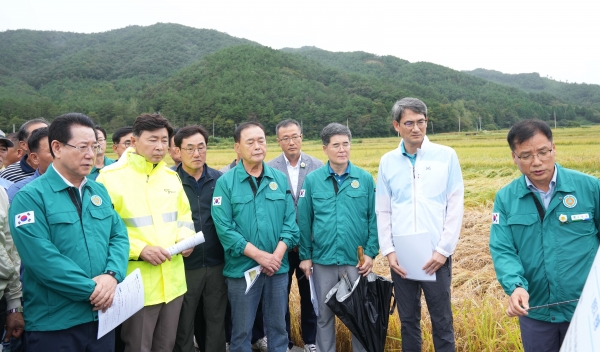 김영록 전라남도지사가 22일 오후 벼멸구 발생 및 호우피해 현장인 보성군 복내면 일봉리 일원을 방문해 주요 농작물 피해현황을 청취하고 있다.